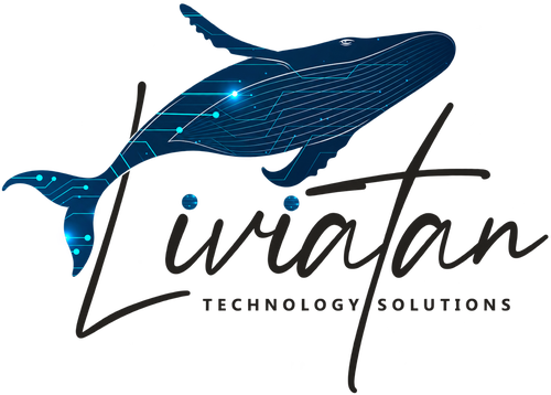 לויתן פתרונות טכנולוגיים — Liviatan Technology Solutions